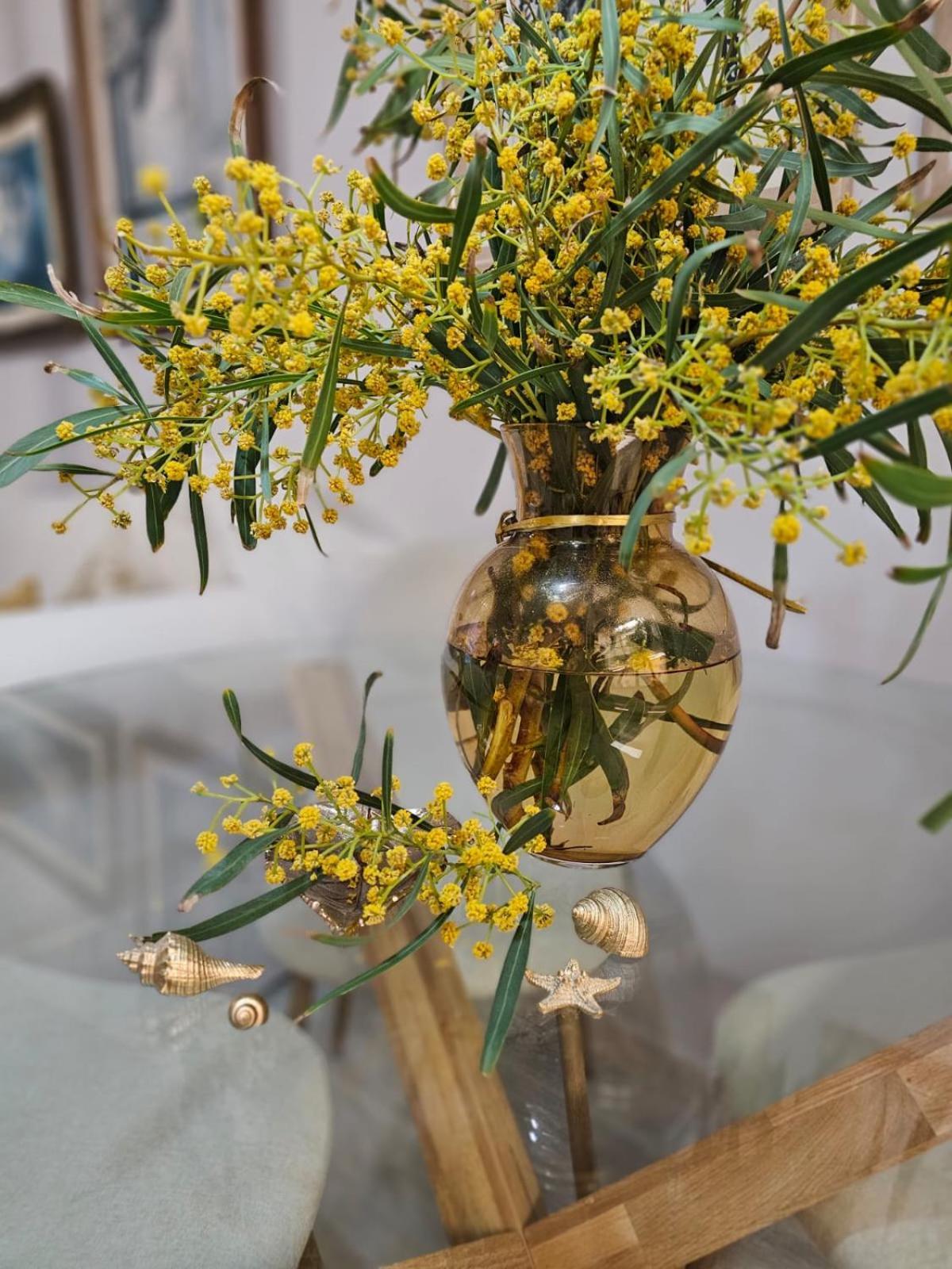 Apto La Mimosa - ซาลอว์ ภายนอก รูปภาพ